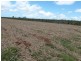 Mourilyan QLD 4858
