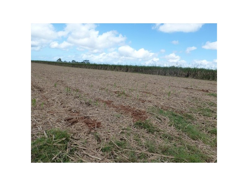 Mourilyan QLD 4858