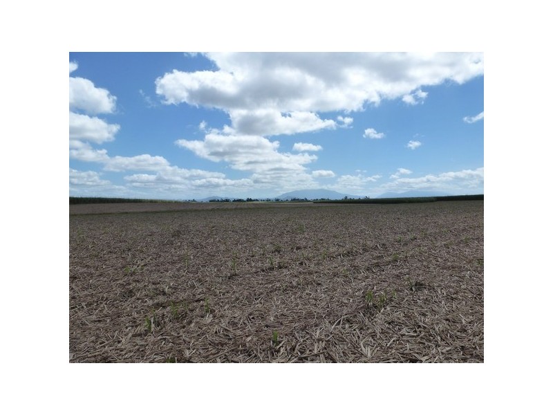 Mourilyan QLD 4858