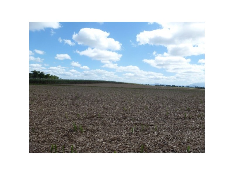 Mourilyan QLD 4858