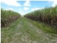 Mourilyan QLD 4858