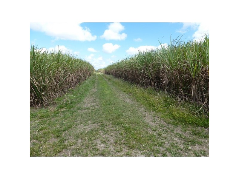 Mourilyan QLD 4858
