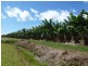 Mourilyan QLD 4858