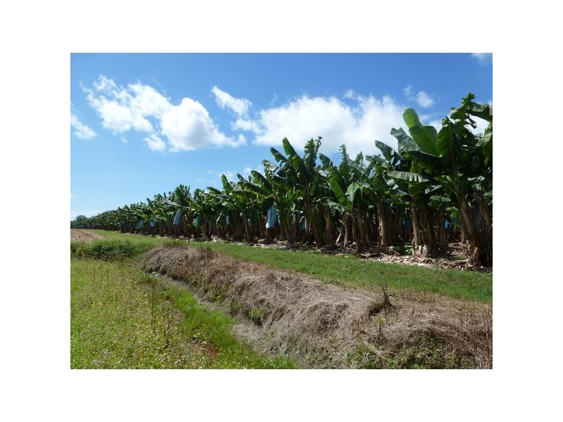 Mourilyan QLD 4858