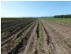 Mourilyan QLD 4858