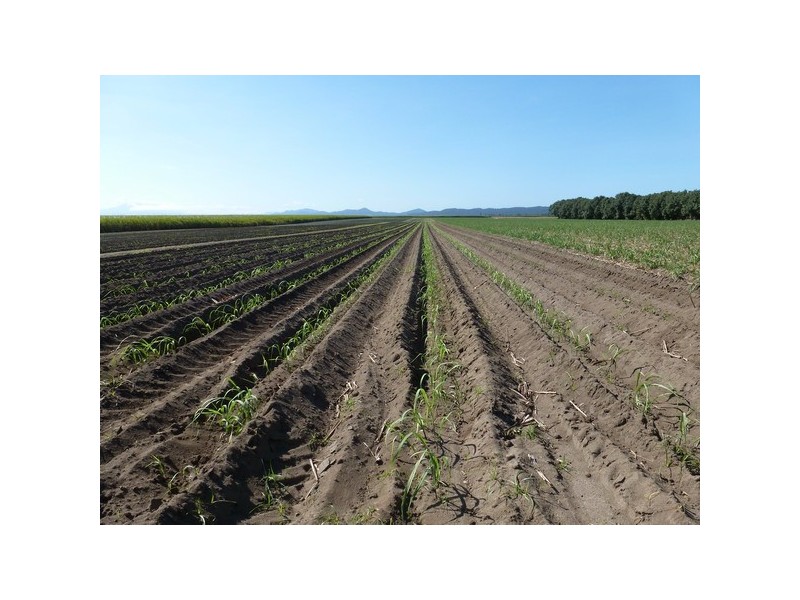 Mourilyan QLD 4858