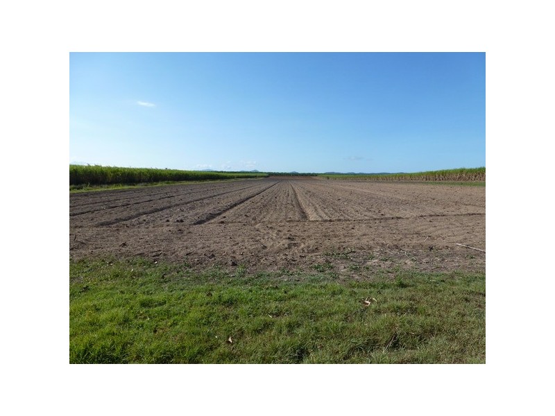Mourilyan QLD 4858