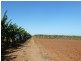 Mourilyan QLD 4858