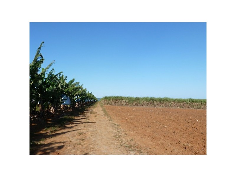 Mourilyan QLD 4858