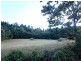 Cowley QLD 4871