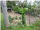 Innisfail QLD 4860