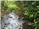 Mena Creek QLD 4871