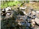 Mena Creek QLD 4871