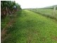 Mena Creek QLD 4871