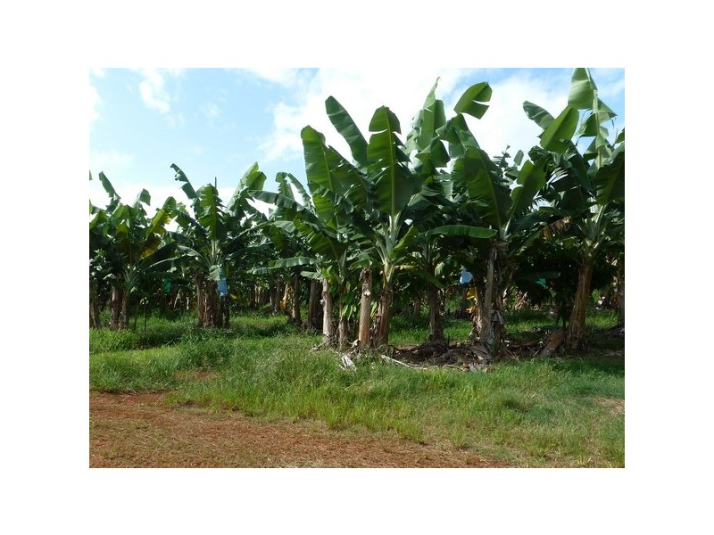 Germantown QLD 4871