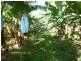 Mena Creek QLD 4871
