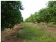 Mena Creek QLD 4871