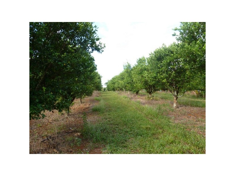 Mena Creek QLD 4871