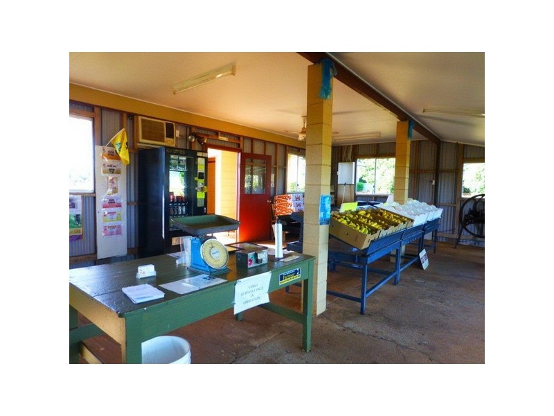 Innisfail QLD 4860
