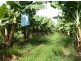 Innisfail QLD 4860