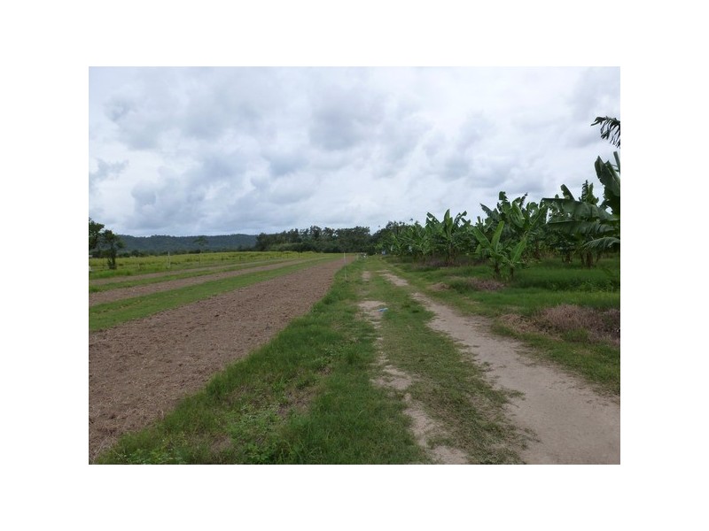 South Innisfail QLD 4860