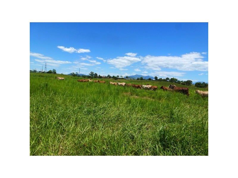 Innisfail QLD 4860