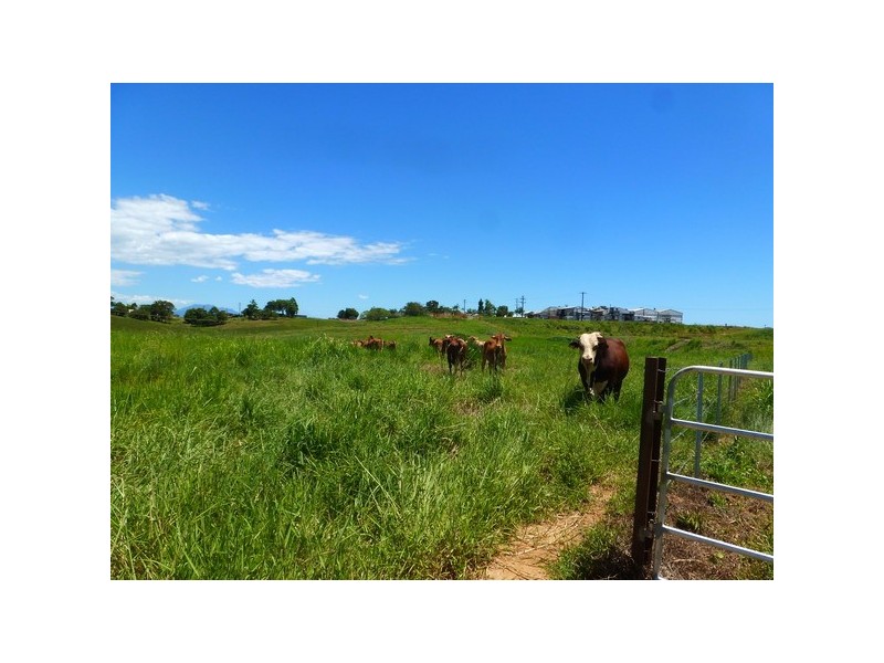 Innisfail QLD 4860
