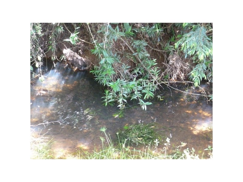 Bombeeta QLD 4871