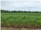 Mccutcheon QLD 4856