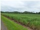 Mccutcheon QLD 4856