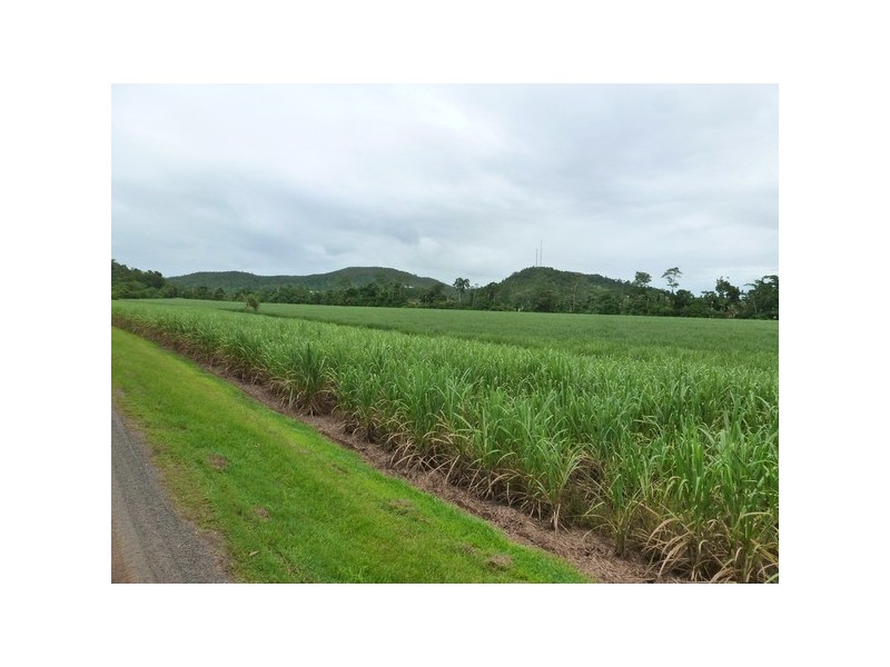 Mccutcheon QLD 4856