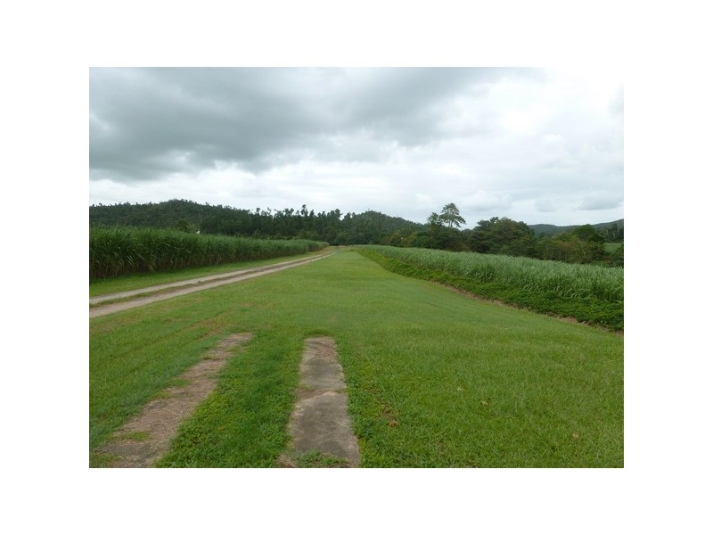 Mccutcheon QLD 4856