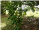 Innisfail QLD 4860