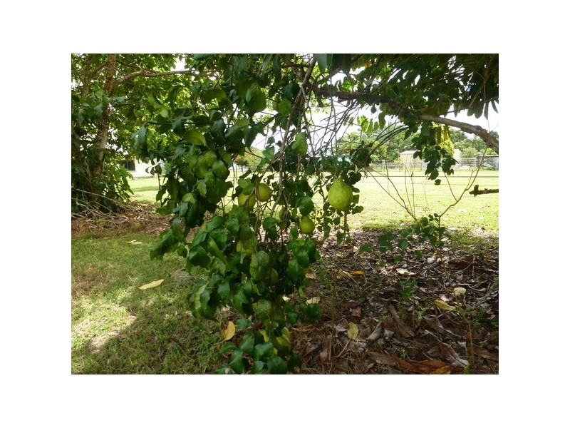 Innisfail QLD 4860