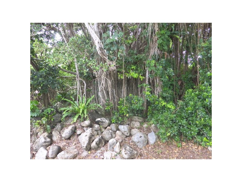 Flying Fish Point QLD 4860