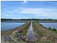 Cowley QLD 4871