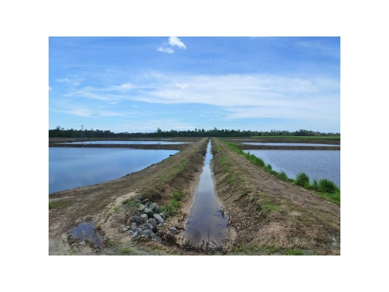 Cowley QLD 4871