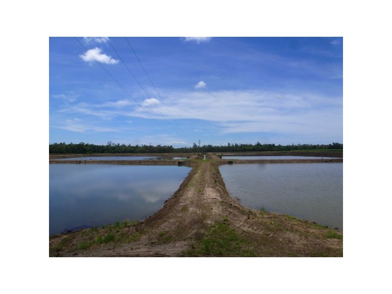 Cowley QLD 4871