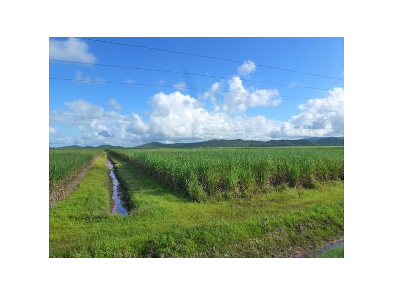 Cowley QLD 4871