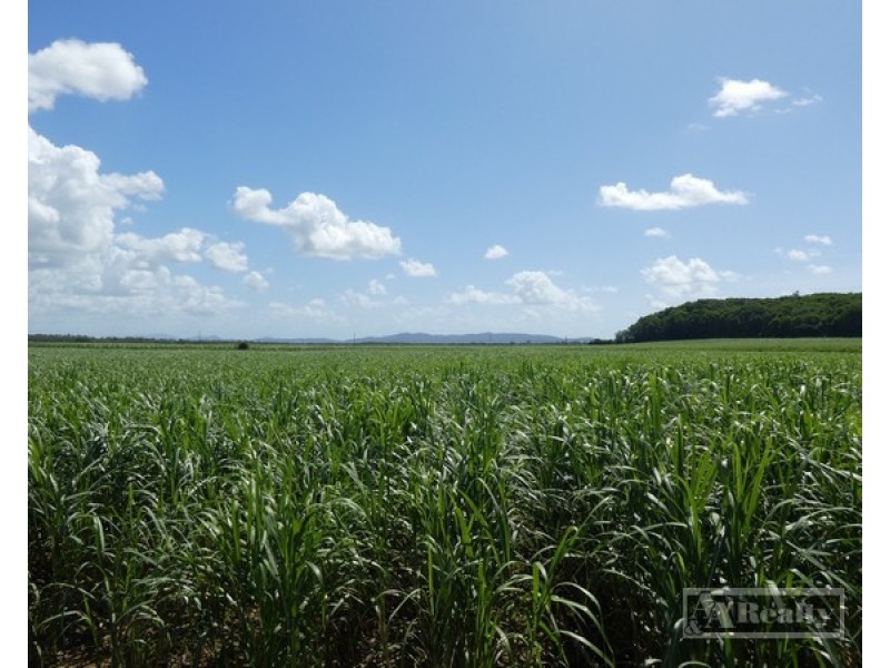 Lower Cowley QLD 4871