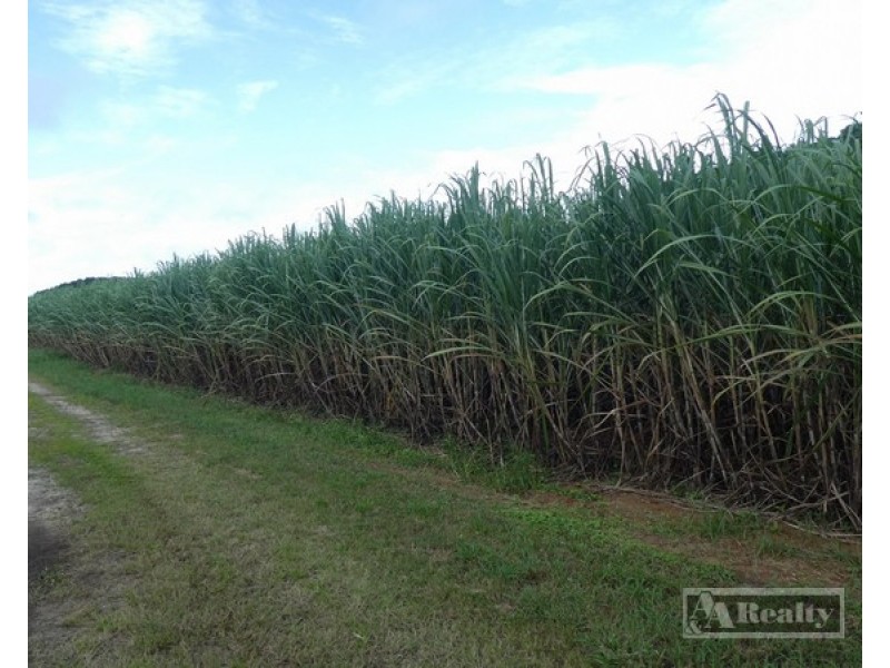 Lower Cowley QLD 4871