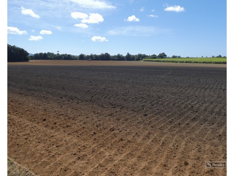 Sandy Pocket QLD 4871