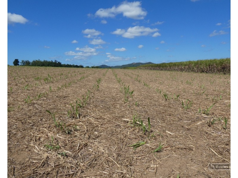 Sandy Pocket QLD 4871