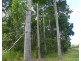 Sandy Pocket QLD 4871