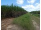 Sandy Pocket QLD 4871