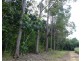Sandy Pocket QLD 4871