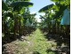 Innisfail QLD 4860