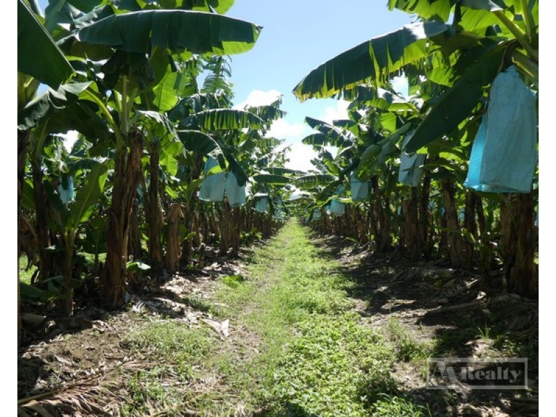Innisfail QLD 4860