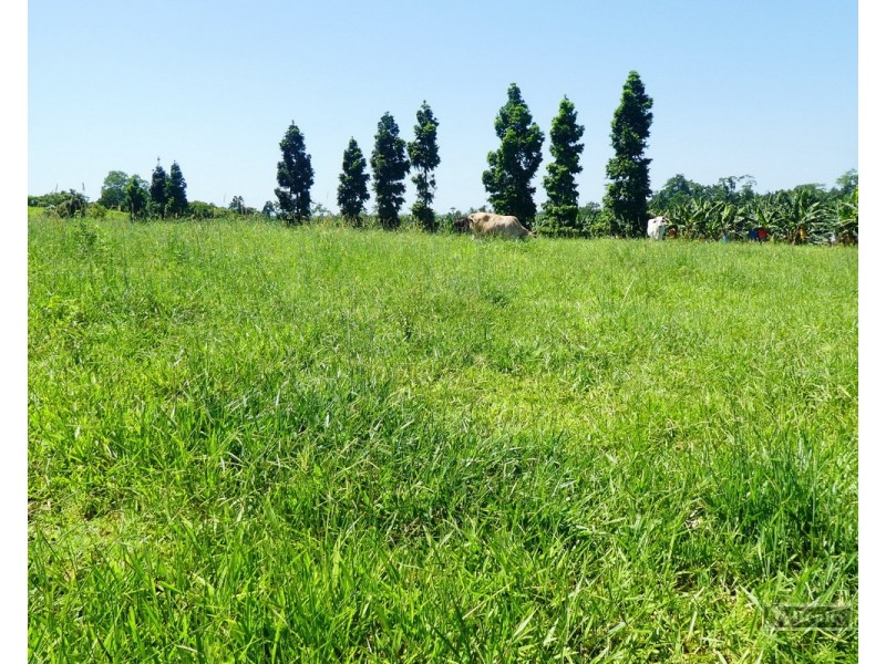 Jubilee Heights QLD 4860