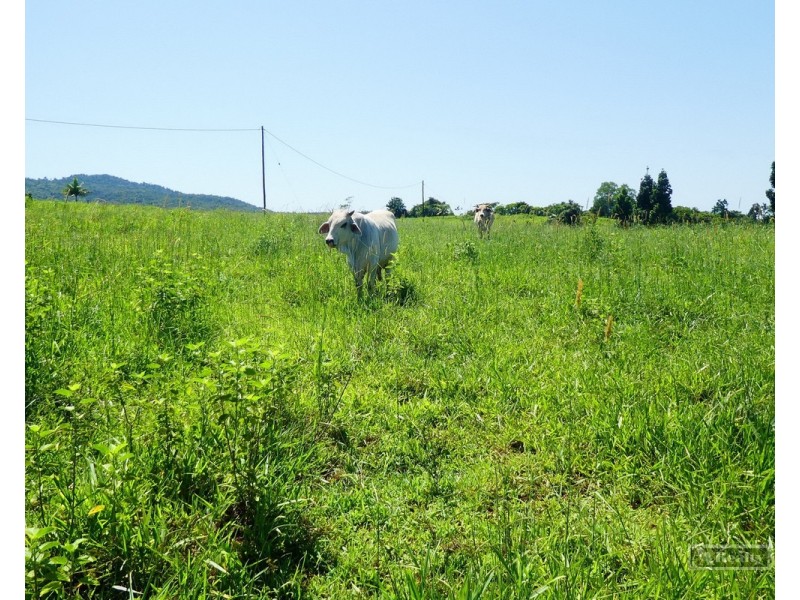 Jubilee Heights QLD 4860